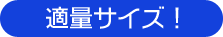 適量サイズ!